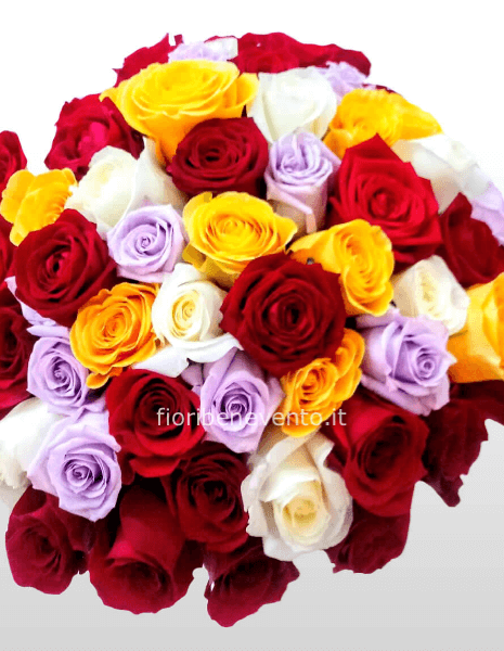 Mix rose