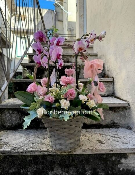 cesto orchidee e fiori